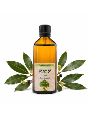 שמן דפנה 100 מ"ל (Laurus nobilis)