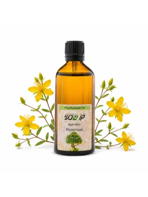 שמן היפריקום 10 מ"ל (Hypericum perforatum)
