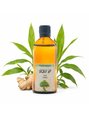 שמן זנגביל 50 מ"ל (Zingiber officinale)
