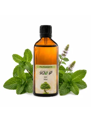 שמן נענע 10 מ"ל (Mentha spicata)