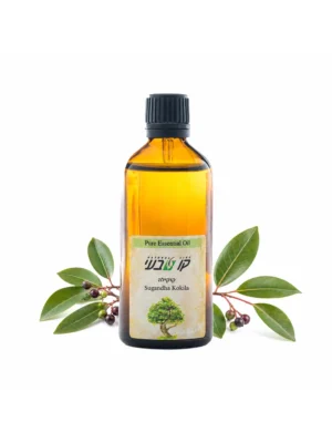 שמן קוקילה 10 מ"ל (Cinnamomum glaucescens)