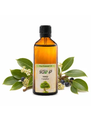 שמן קמפור 50 מ"ל (Cinnamomum camphora)