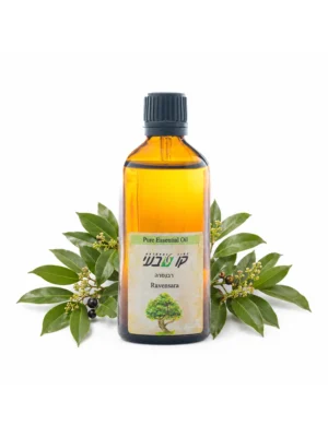 שמן רבנסרה 10 מ"ל (Ravensara aromatica)
