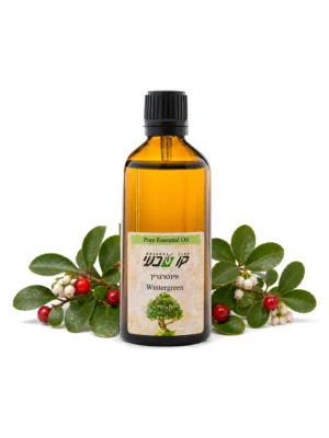שמן ווינטרגרין 100 מ"ל (Gaultheria procumbens)